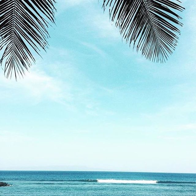 instabeautytips's tweet photo. On hot days like today don't forget to use Zinc Shade by #MAO #skincare to protect your sk… https://t.co/6WbZN3PsMQ https://t.co/pllDoM28kt