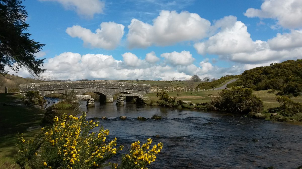 ForestryEngland's tweet photo. Spring has sprung by the river in Bellever Forest on Dartmoor https://t.co/9Cri8kAlet #WakeUpToSpring https://t.co/cXZ68qn4ZL