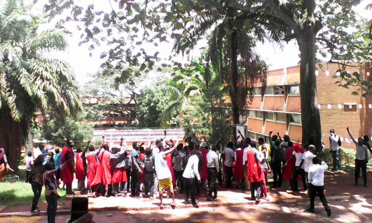 DailyMonitor tweet picture