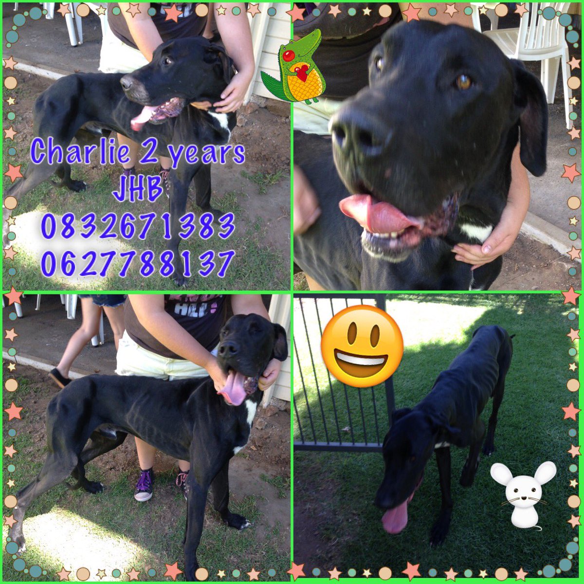 I need a new home. Pls retweet