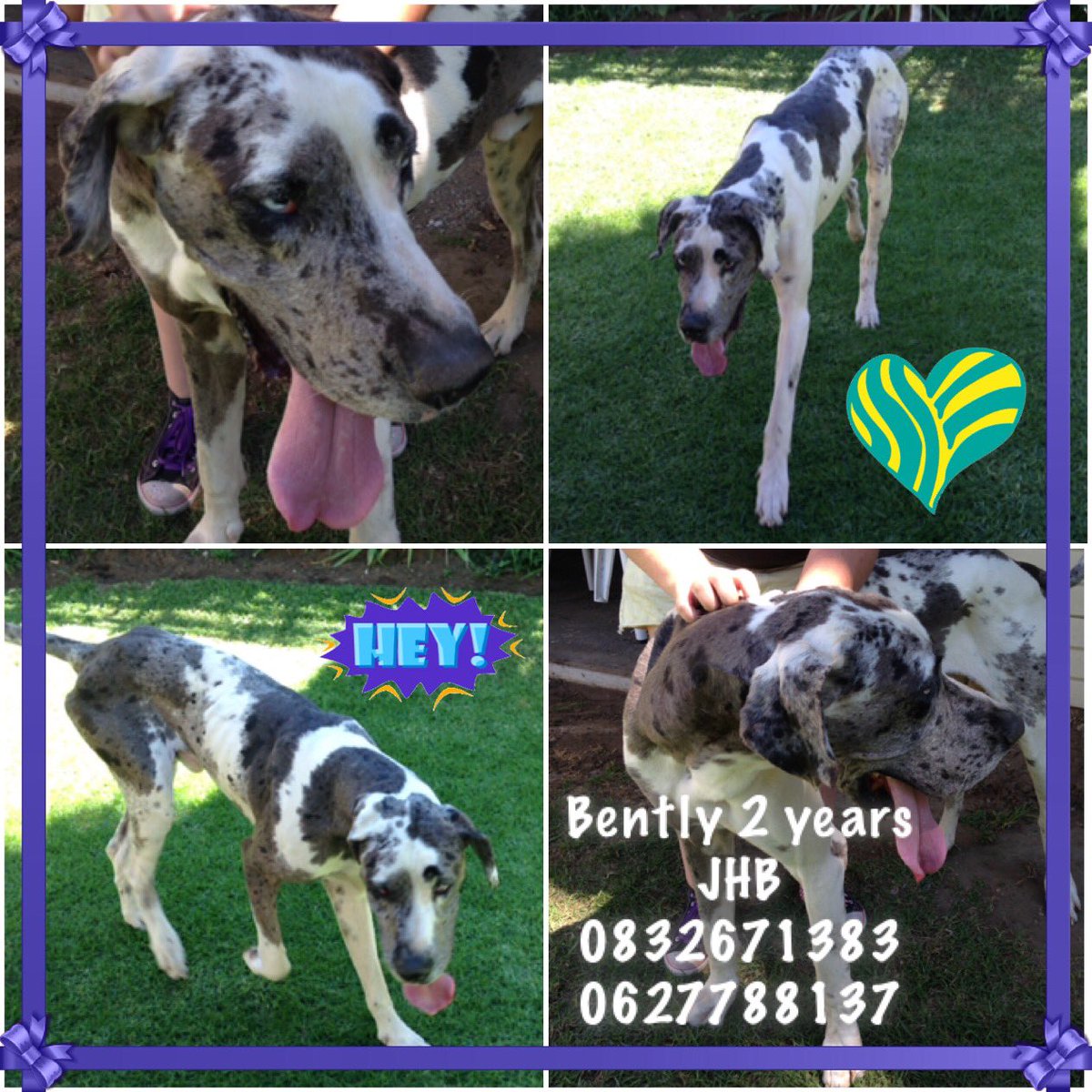 I also want a family that will love and adore me. Please retweet