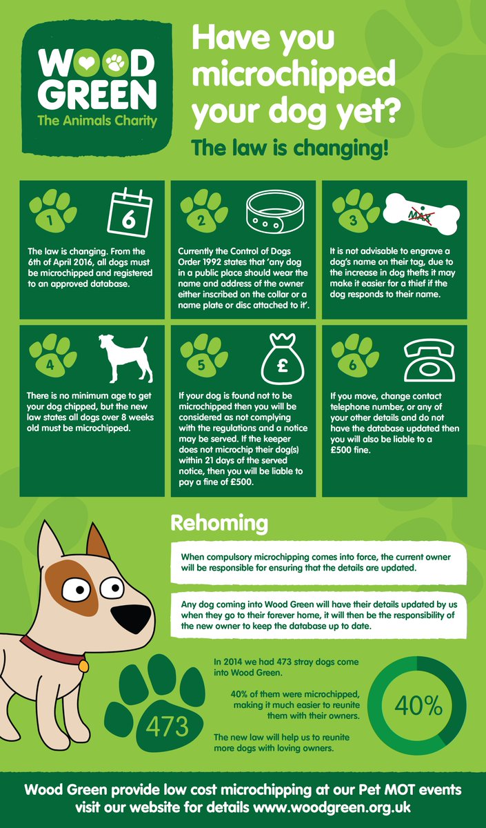 WoodgreenPets's tweet photo. Today the law changes - Microchipping your dog is now a legal requirement in the UK #chipitcheckit #MicrochipYourDog https://t.co/OMn4zTYEqP