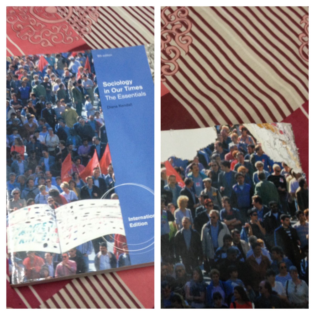 mainframenc's tweet photo. Book for sale! Sociology, 8th ed. Have termite bites. RM10. Whatsapp - 011-33236747 (Afiq) @komedlendu @MPPUiTMLendu https://t.co/ssl2ysK01O