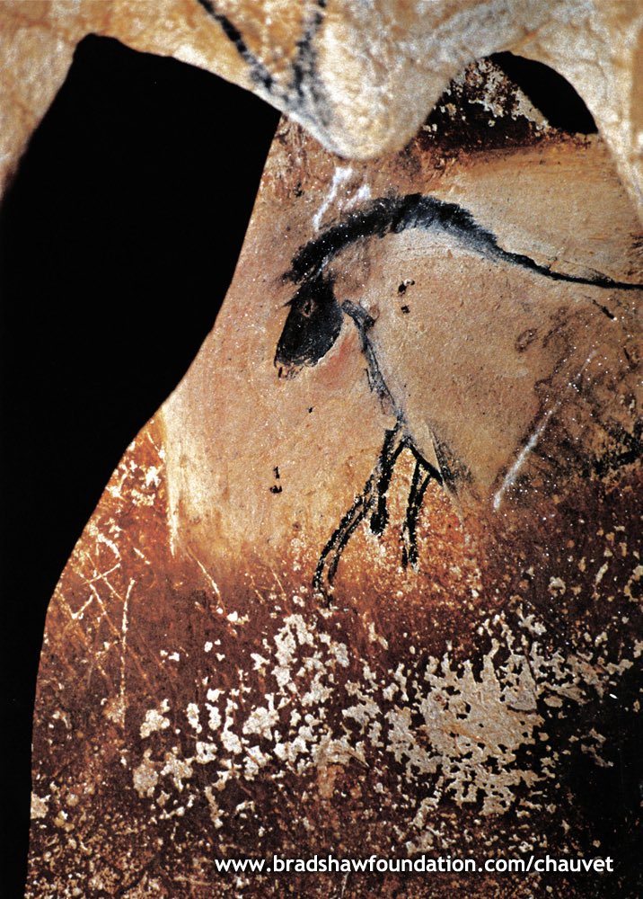 BradshawFND's tweet photo. #RockArtReveal horse in #Chauvet appears to emerge from rock face
#France
https://t.co/NE0LXpNsXE https://t.co/gNOy3Chl0q