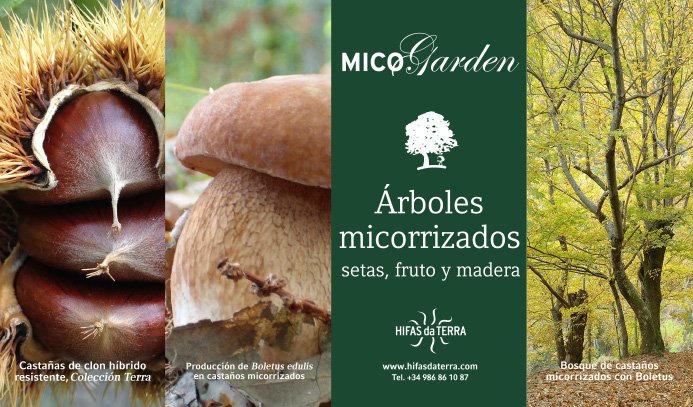 HifasdaTerra's tweet photo. ¿Quieres recolectar #setas en tu propio jardín? ¡Planta #árboles micorrizados! https://t.co/9GIUcj3lHk https://t.co/oCZa6Hr02U