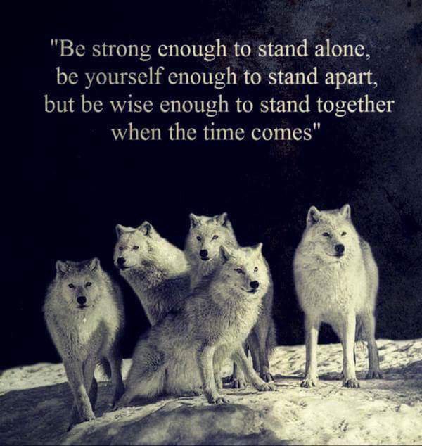 CoachJatkola's tweet photo. If everyone puts in their max effort, there is no stopping the pack!!!! #defythedoubt #sharkstrength https://t.co/YQJcuQMQiT