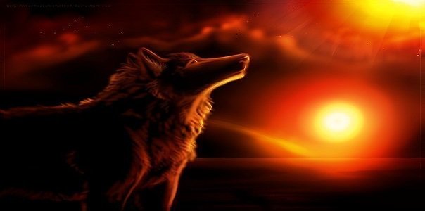 Улыбка не всегда означает, что человек счастлив, иногда она означает, что человек сильный.