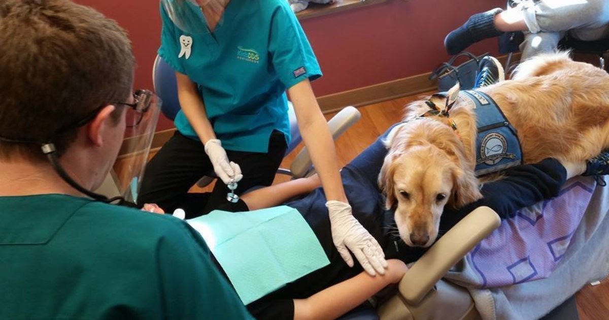 HuffPostFamily's tweet photo. JoJo the dog comforts kids at dentist, makes appointments less ruff: https://t.co/NWFcMpXWNY https://t.co/oZXdoJuzIV