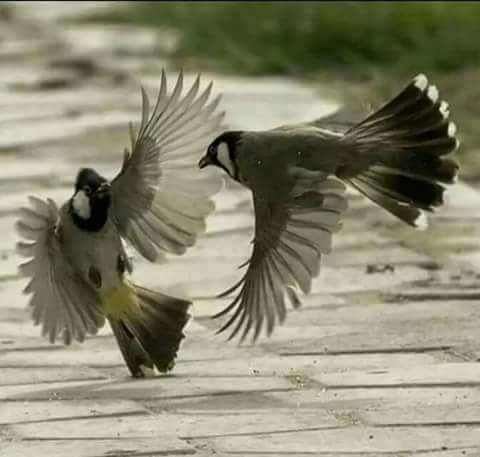 SA__F20's tweet photo. الذي لا يقاسمك ..
وحدتك ، حزنك ، حتى ألمك ..
لا تفكر أن تأخذه على محملِ الحب !
#صافي https://t.co/PZOL05LIK2