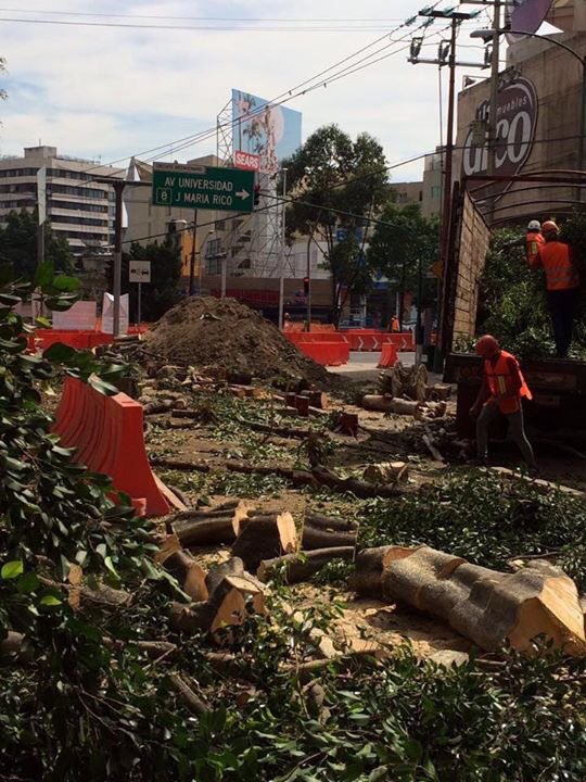 JeSsRafa's tweet photo. Hace 2 horas alguien tuiteó esta nueva masacre de árboles, así es como @ManceraMiguelMX combate la contaminación! 😡 https://t.co/Oe5EdUPwgn