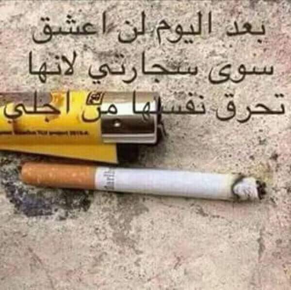 Mn.2082000@yahoo.com (@m2082000) on Twitter photo 