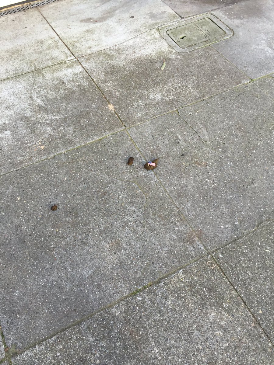 John Peña tweet media