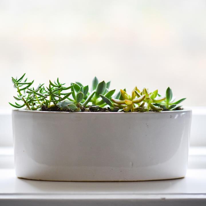 ArcticStormSLC's tweet photo. Looking for ways to use #springtime to market your business? Here are 5 tips! https://t.co/llX8J76xt9 #marketing https://t.co/zpoOZgJgnQ