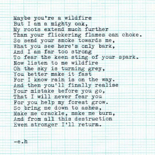 baracinta15's tweet image. Beautiful poetry...📖#poetry #inspiration #love#life#though #words#quotes#poetrylovers#dreamer #loversofpoetry#lover…