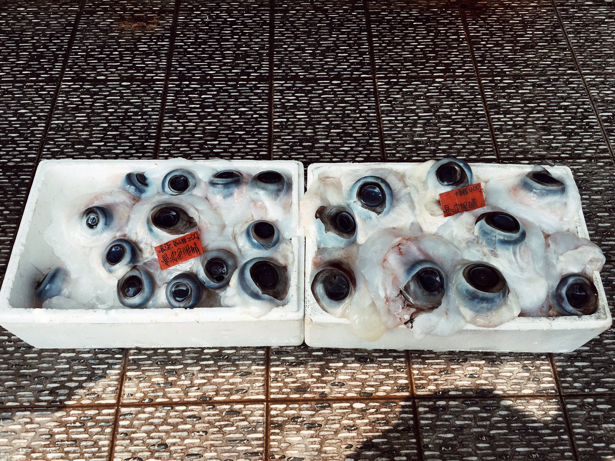 omilatte's tweet photo. Market 🐟

#photography #photooftheday #market #vintage #taiwan https://t.co/cX5a5b17t5