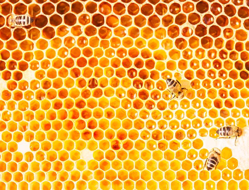 We're really into bees and the healing benefits of honey here at #goopHQ: bit.ly/1SQbuRr