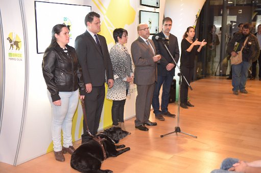 ONCE_oficial's tweet photo. ¡Ven a celebrar los #25añosFOPG al Museo Elder y conoce la labor de nuestros perros guía! https://t.co/wpEb3SmfW1 https://t.co/eh2y6K31XK