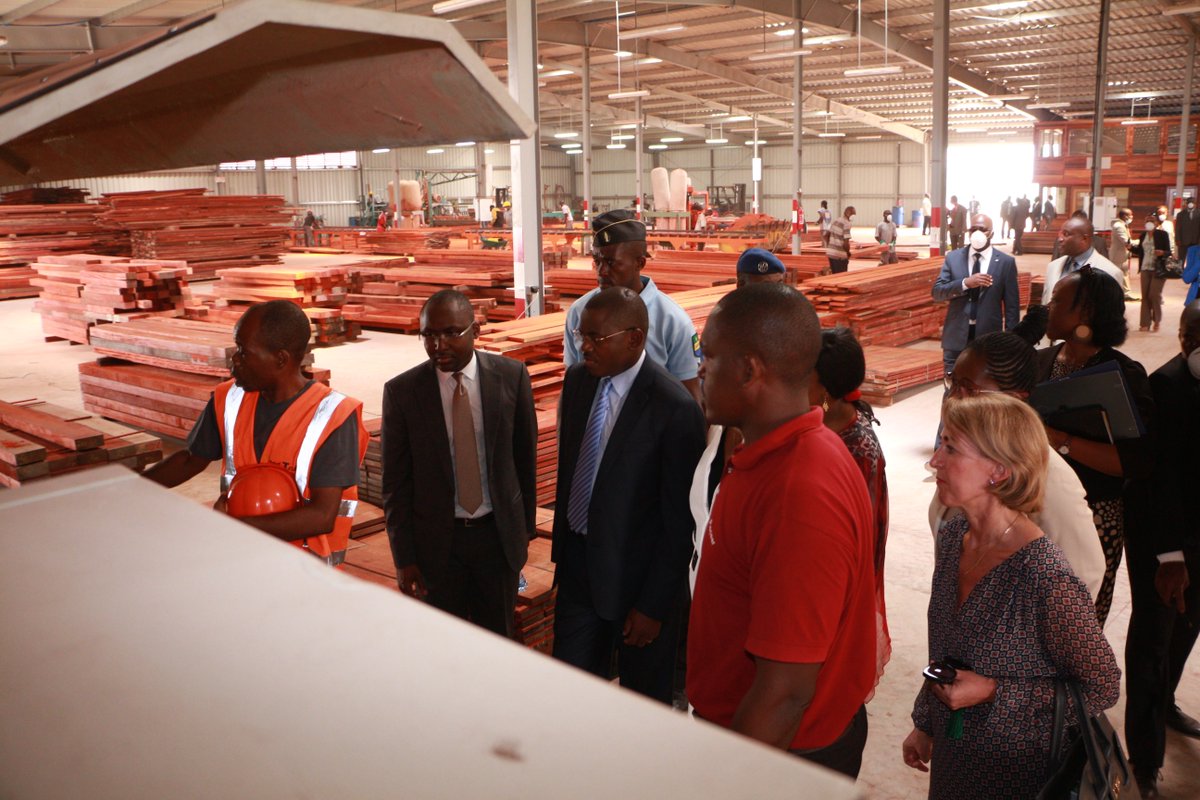 l'industrialisation du bois prend forme au Gabon