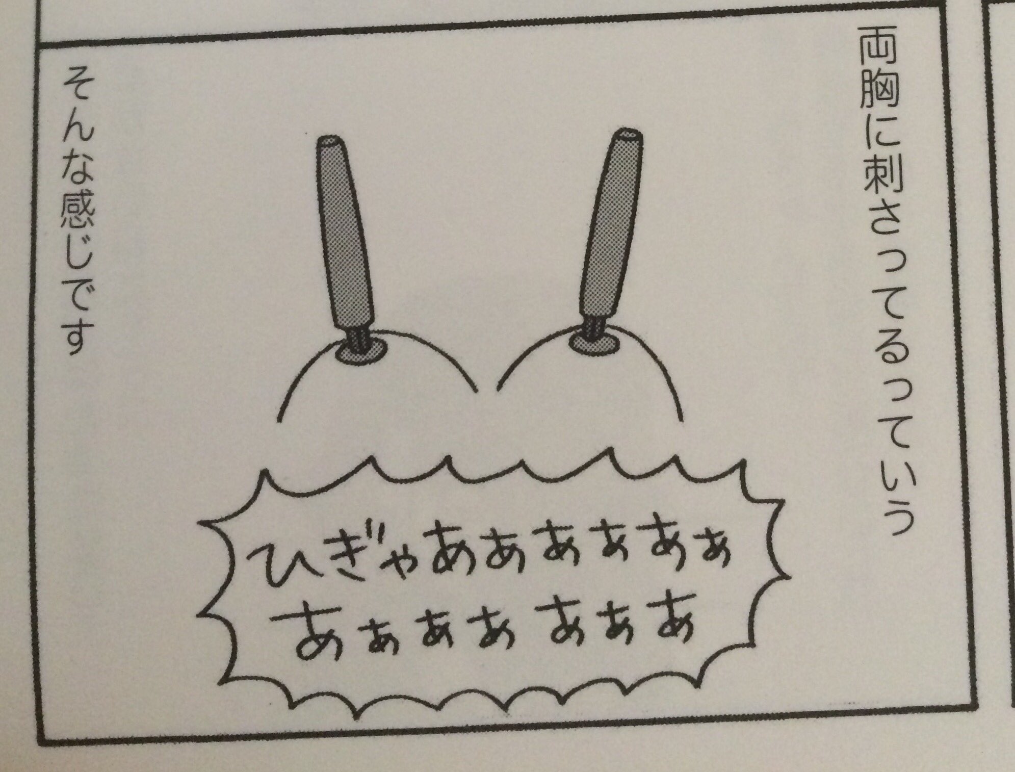 みねどん Twitterissa はるな檸檬さんの れもん うむもん 買いました 出産後 胸が張った時の痛みが乳首に彫刻刀が刺さってるくらい痛いと書いてあり すげー恐怖 この本すごい面白いし わかりやすいから母子手帳と一緒に配るべき T Co Ijutpzc5z1