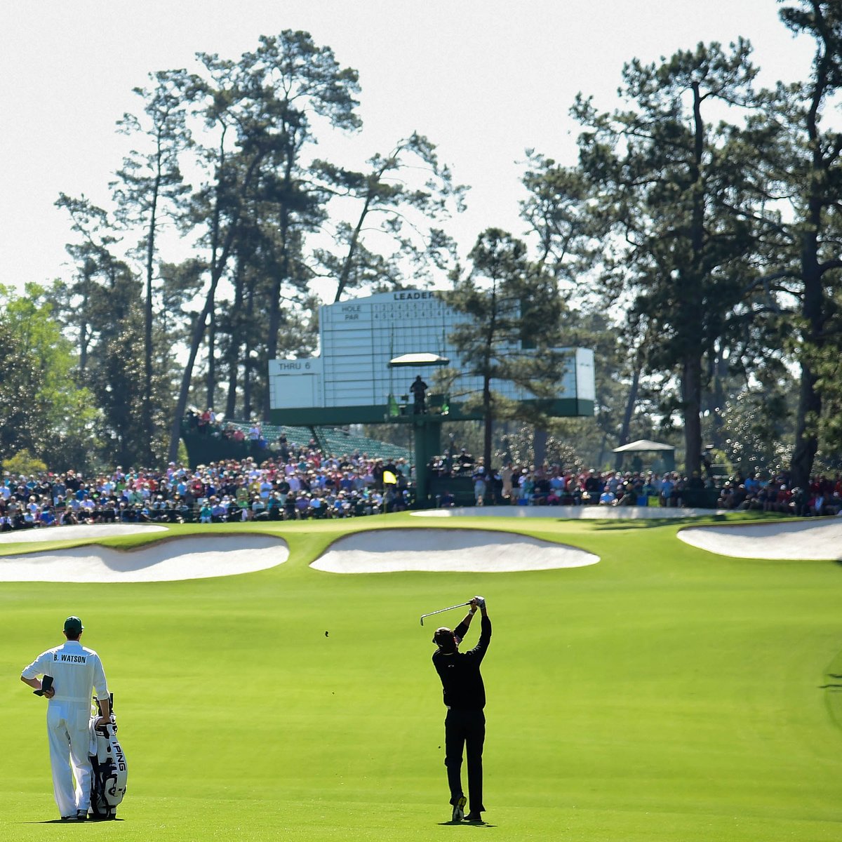 PingTour's tweet photo. PING Pro @bubbawatson getting ready to chase a 3rd green jacket. #PlayYourBest this week, Bubba! https://t.co/Ibj3apulmS