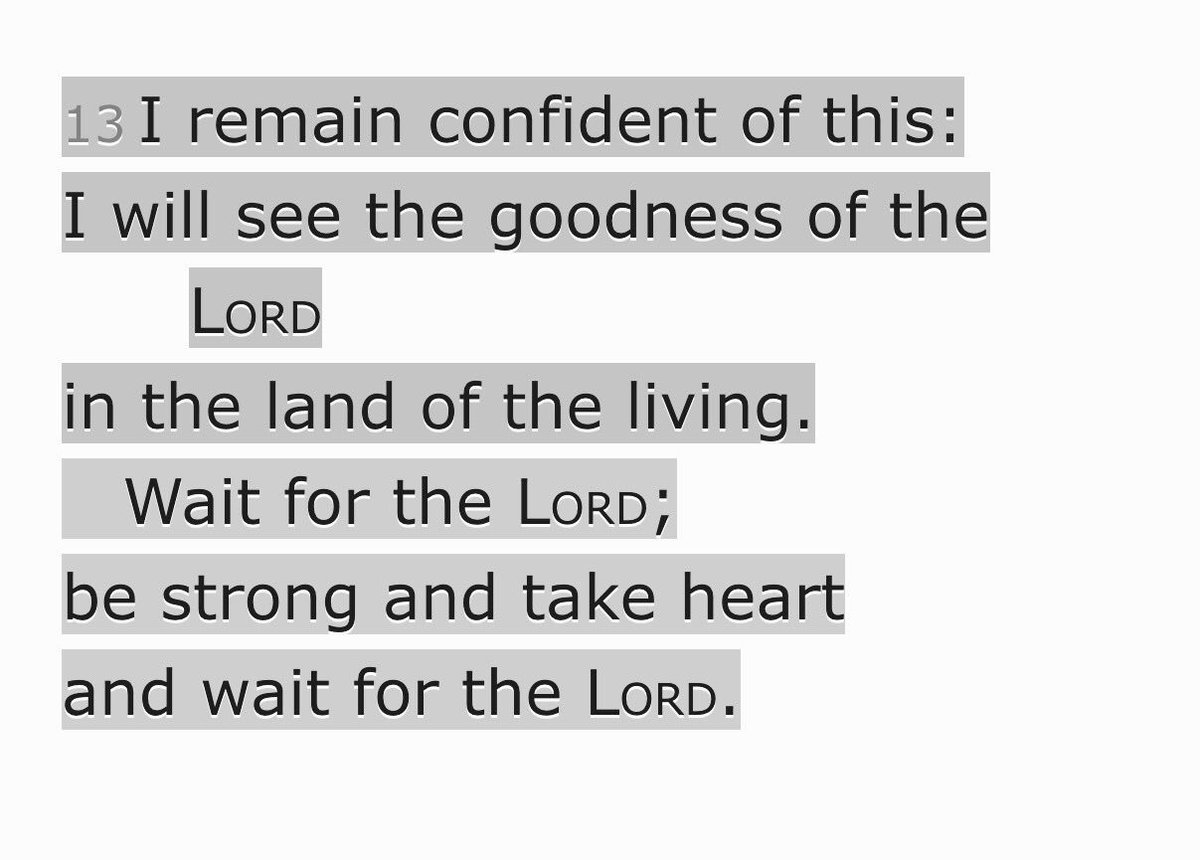 Carson_Case's tweet image. I WILL.