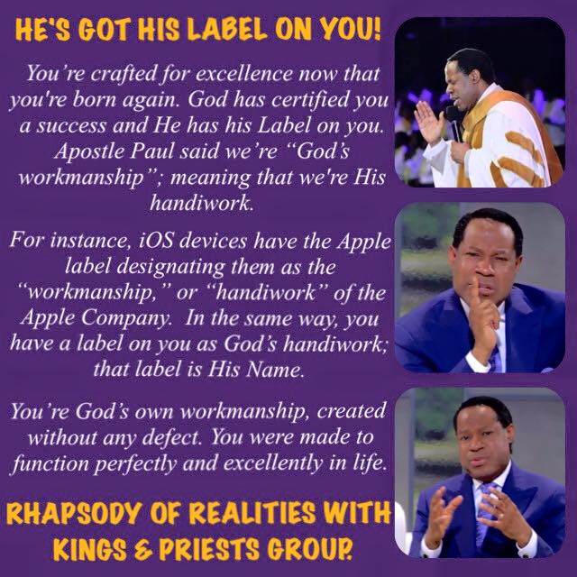 lisa may tweet media