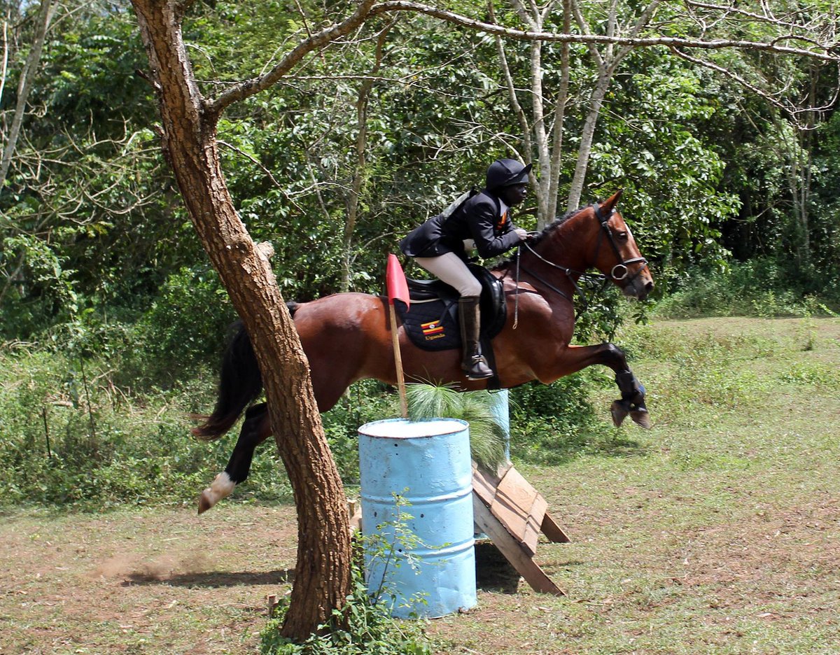 TembeziLLC's tweet photo. Fancy a horse riding session? Flametree Stables has got you covered. https://t.co/gUfyVt2Hlb https://t.co/fTvrg9dfQI