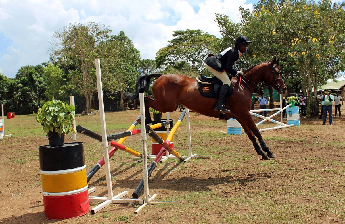 TembeziLLC's tweet photo. Fancy a horse riding session? Flametree Stables has got you covered. https://t.co/gUfyVt2Hlb https://t.co/fTvrg9dfQI