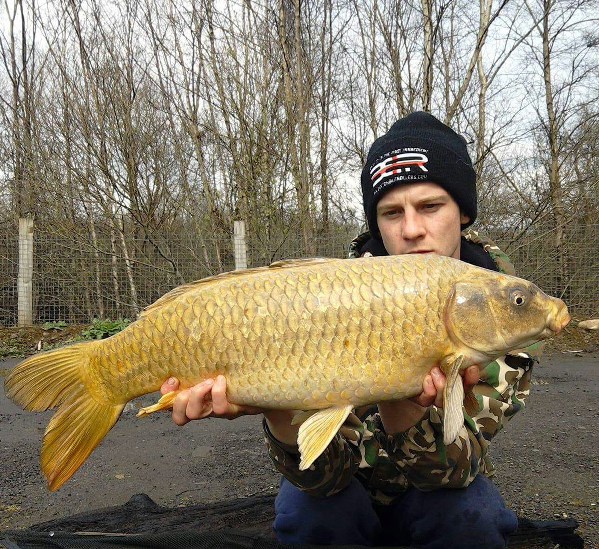 krisjenx123's tweet photo. Few fish from my last 24hr sesh #bbrmunchers #deceptionangling #camocarpy #bartonsleads https://t.co/X8s1pQDv68