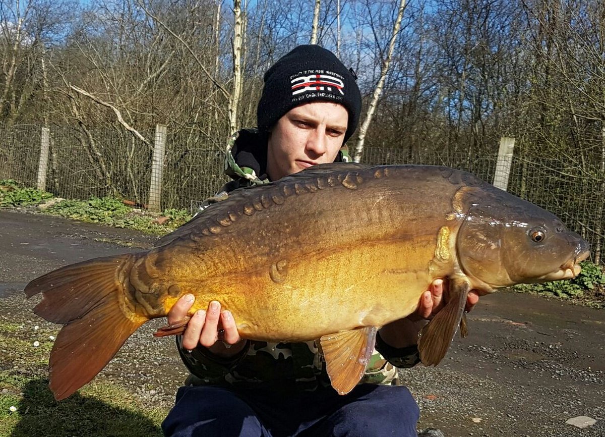 krisjenx123's tweet photo. Few fish from my last 24hr sesh #bbrmunchers #deceptionangling #camocarpy #bartonsleads https://t.co/X8s1pQDv68