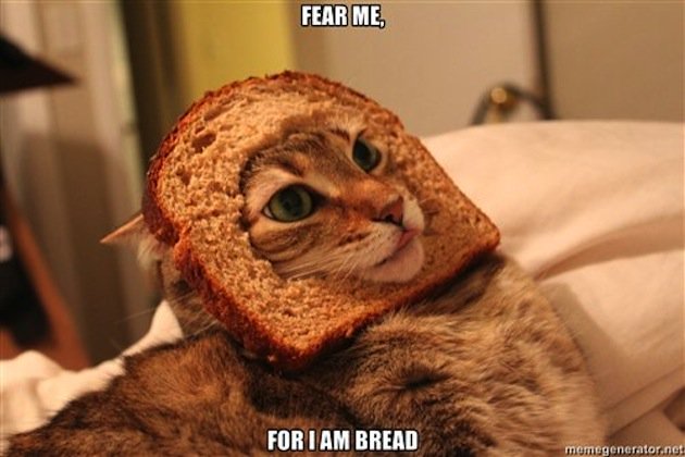 BreadMask cat will toast you...