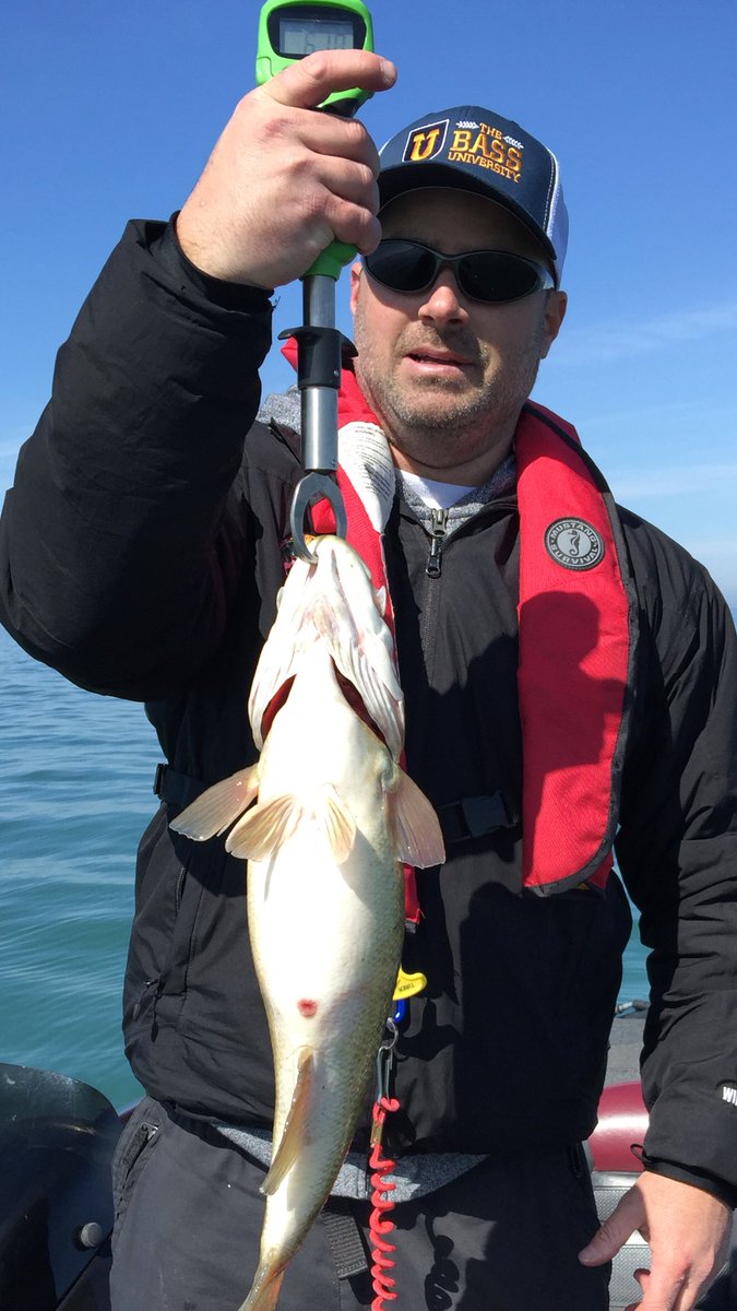 OFC_FISHING's tweet photo. https://t.co/TgxyGvGnyB