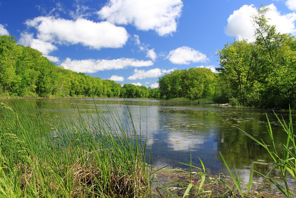 CVC_CA's tweet image. We know it's hard to do w/ all this #snow but remember... 
KEEP CALM &amp;amp; LOVE MOTHER NATURE 
#WisdomWednesday #love