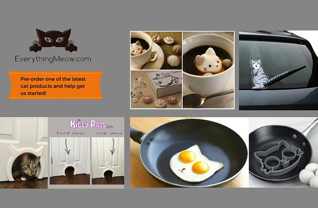 EverythingMeow1's tweet photo. Pre-order one of the latest cat products and bring them to the UK! @EverythingMeow1 #cat #cats #CatsOfTwitter https://t.co/3qF4zC6YRJ