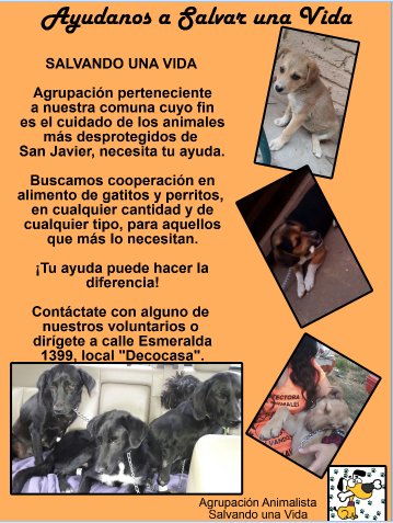 PaciTobar's tweet photo. #HolaChileEnLaRed  ayudenos!! Somos una organizacion sin fines de lucro. Los agradeceriamos mucho!! https://t.co/TMlXZdljmX