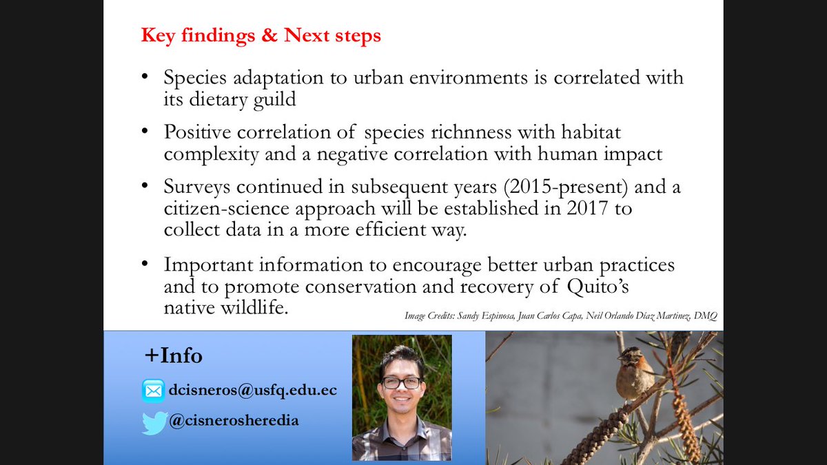 CisnerosHeredia's tweet photo. @USFQ_COCIBA @USFQ_Ecuador Investigación #USFQ gana BestTalkingPoster Conferencia #BOU2016 https://t.co/HB3doUeD5Z https://t.co/2ZV0hX2Vlt