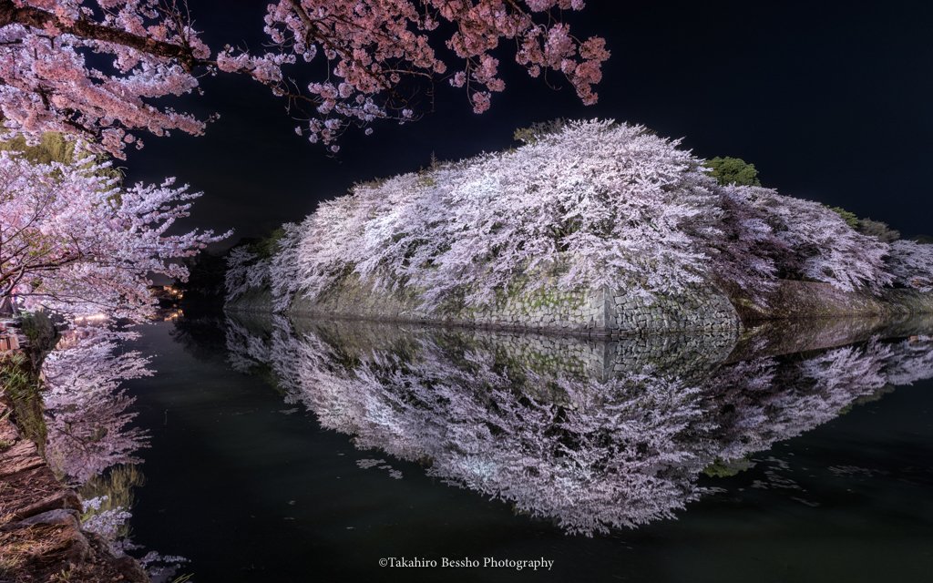 滋賀県の誇る桜の絶景地 彦根城の夜桜 の一葉が 怖さすら感じる美しさ 別な世界に行けそう 息を呑むしかない と大絶賛 Togetter 滋賀県の誇る桜の絶景地 彦根城の夜桜 の一葉が 怖さすら感じる美しさ 別な世界に行けそう 息を呑むしかない と大絶賛 Togetter