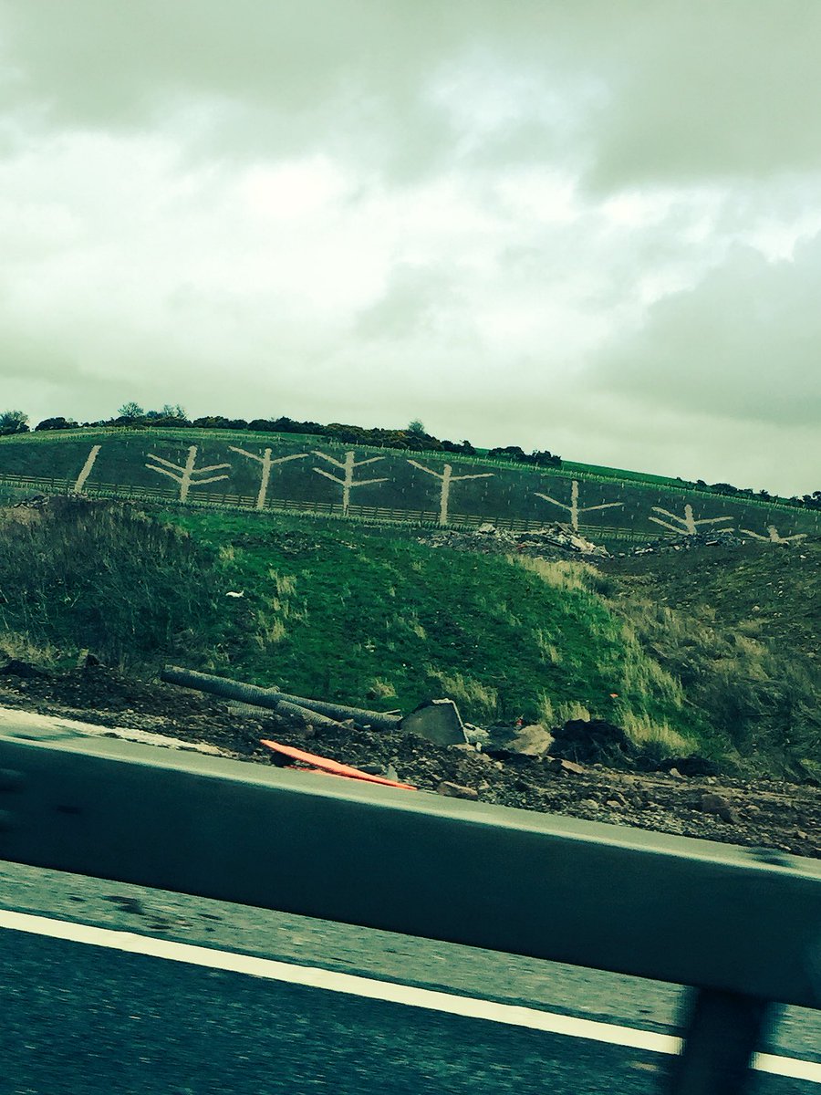 Someone who liked the Stitch pattern must have been responsible for planting this roadside up in Lancaster.