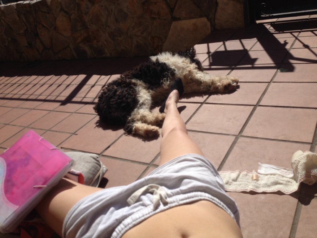 NattaLiiaaa's tweet photo. Parece que el sol empieza a salir 🙏🏻🌸🔜💪🏽✅(🐶☀️) https://t.co/Q4GskE7pF3