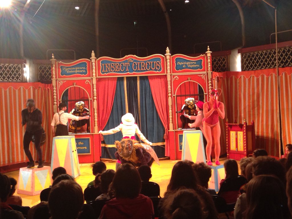 CircusDiaries's tweet photo. Still absolutely charmed by the delightful #InsectCircus, @TheAlbanySE8 as part of #CircusFest. Many types of clever https://t.co/YMghR66kuN