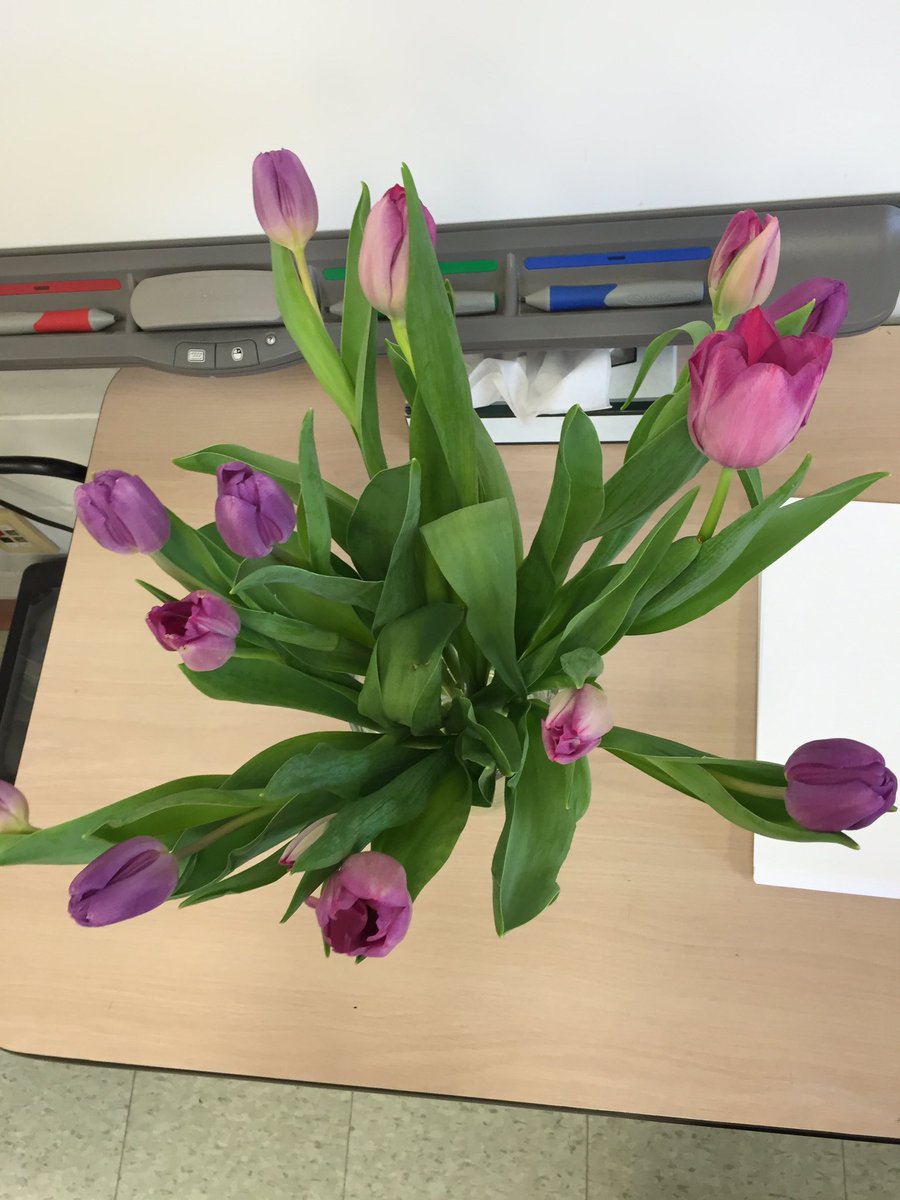 LisaConway17's tweet image. Working on some still life art today in Grade 8. #art #line #shapeandform #value #colour @AJCharbonneauPS