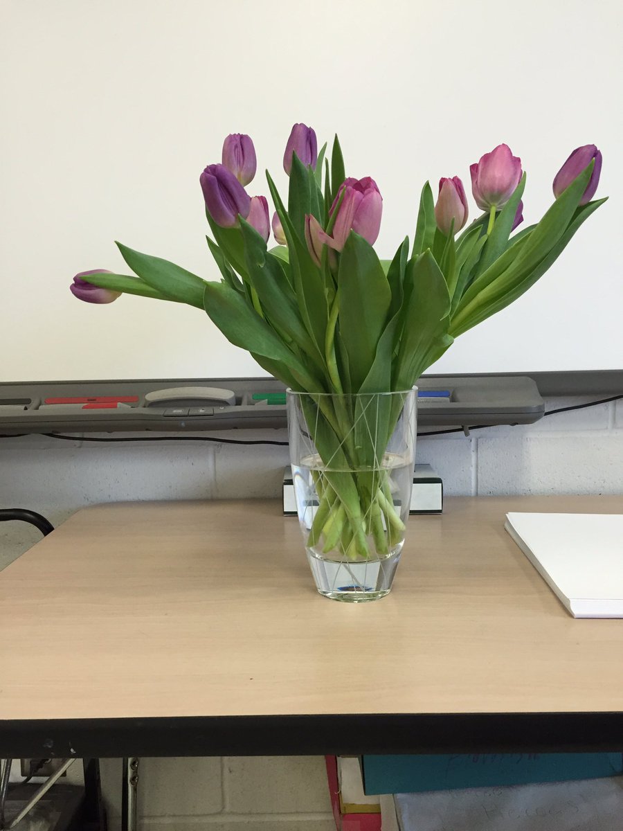 LisaConway17's tweet image. Working on some still life art today in Grade 8. #art #line #shapeandform #value #colour @AJCharbonneauPS