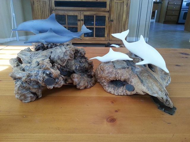 seaturtlegifts's tweet image. Find life's porpoise🌊🌴🐋 #dolphinsadvice #myfavoriteanimal #alongwith #seaturtles #sharks #… bit.ly/22cf8rb