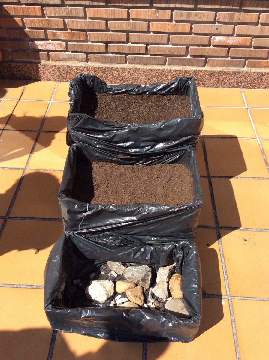 2ESOAUSEVA's tweet photo. Este año estrenamos nuevo diseño #ABPAuseva #HuertoAuseva #compostelaenruta https://t.co/hYgnuuiibl