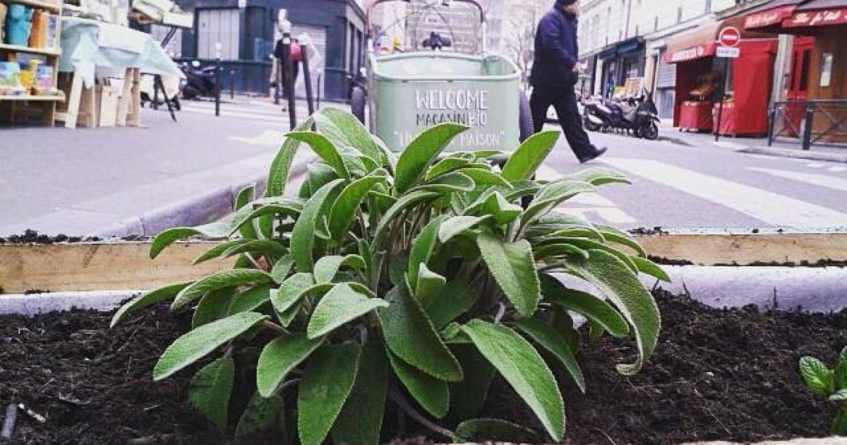 _lessuricates's tweet photo. 🍏 @greenraid • Plateforme collaborative de lieux pour vivre green et consommer local > https://t.co/GYA4XLH3j2 https://t.co/jbCM4F7ZKC