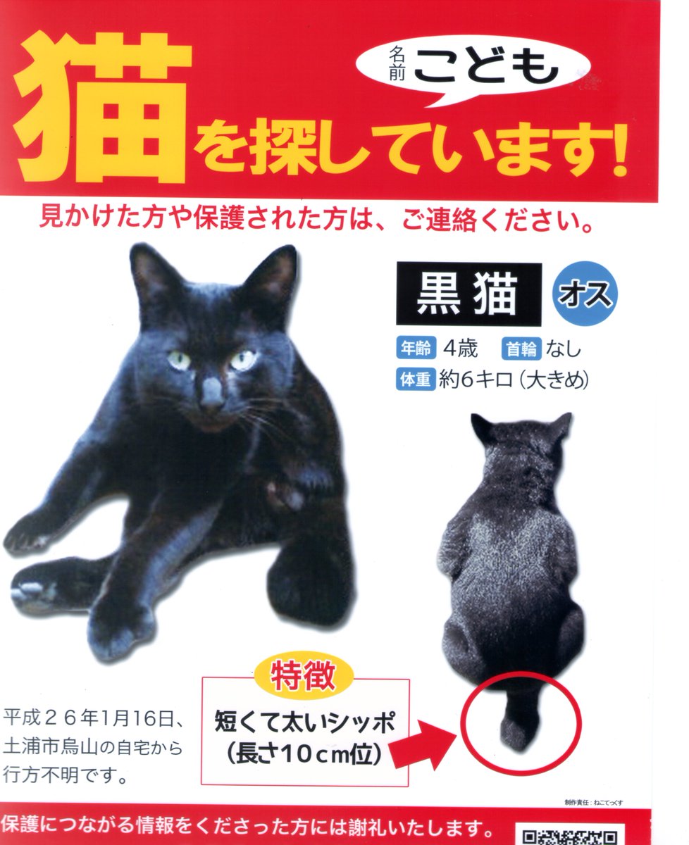 太くて短いカギしっぽ Twitter Search Twitter 太くて短いカギしっぽ Twitter Search Twitter