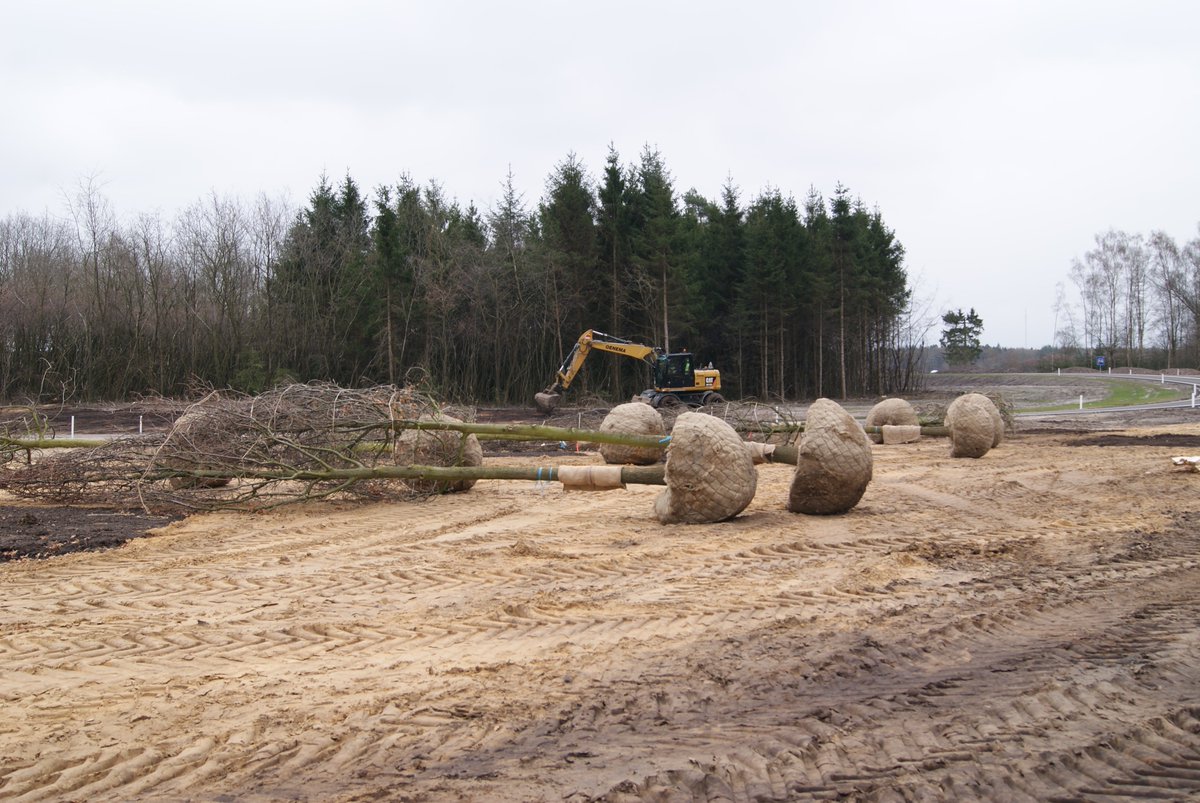 projectN381's tweet photo. Bomenaanplant bij Hildenberg in het Drents - Friese Wold. https://t.co/CskWXDfB1I