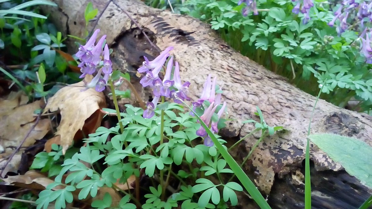 @toscajanssens .... Fijn dat het soms hard waait....er gebeurd zoooveel