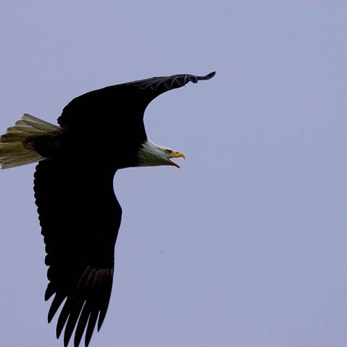 patrickabonyo's tweet photo. NEW RELEASE: Listen And Save Yourself 

BEAUTIFUL INSTRUMENTAL MUSIC
 on #SoundCloud? #np https://t.co/sGHgWsdQpB https://t.co/nMBYeS38qE