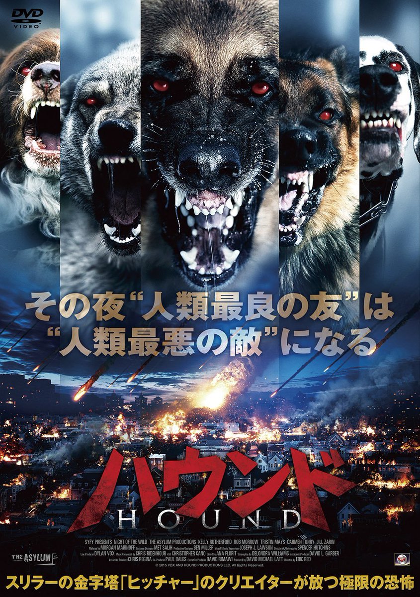人間食べ食べカエル No Twitter 人類最良の友から人類最悪の敵へ 気になる映画 ハウンド 流星雨の影響によりあらゆる種類の犬が凶暴化 人間を片っ端から肉塊に変える手の付けられない殺人マシーンと変貌してしまった 凶悪な犬の群れに囲まれた地獄の街から脱出
